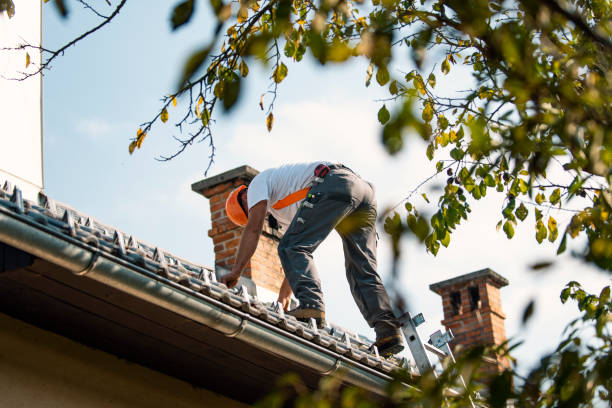 Roof Gutter Cleaning in Rolesville, NC