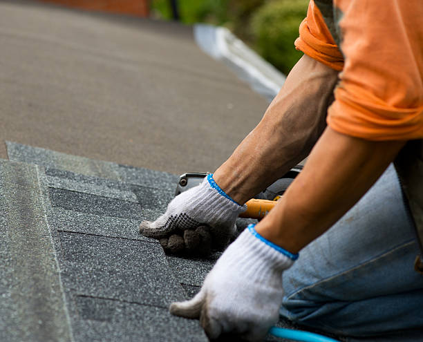 Best Roof Gutter Cleaning  in Rolesville, NC
